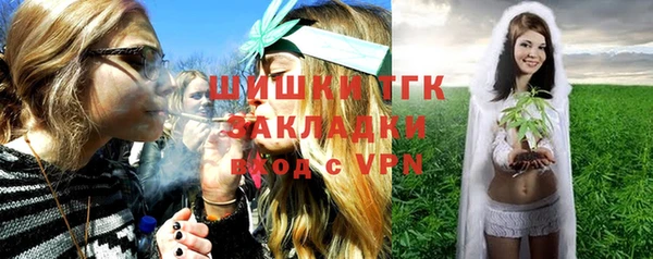 гашик Алексин