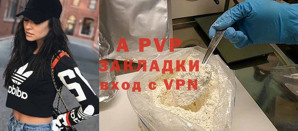 гашик Алексин